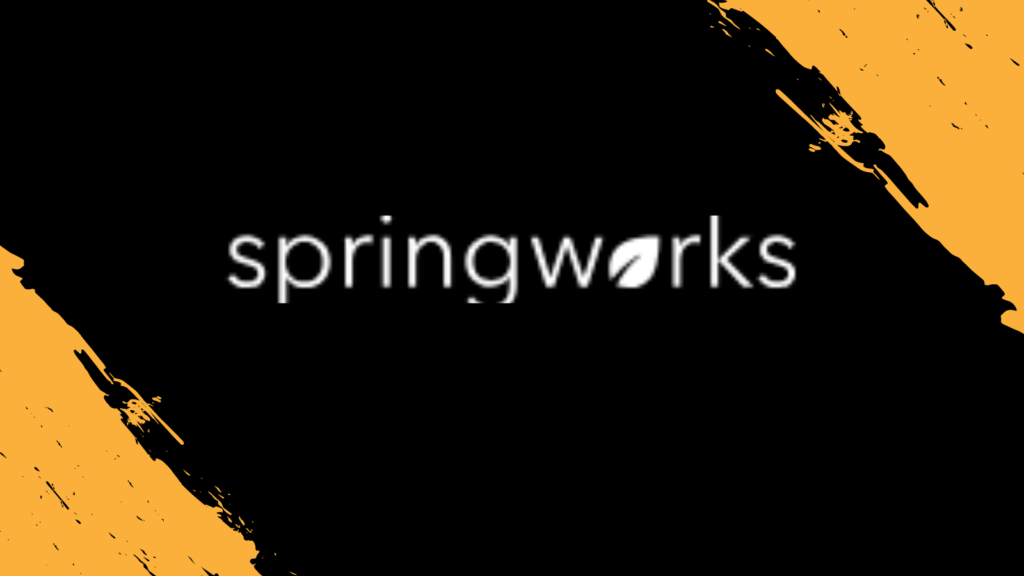 WORK FROM HOME|Springwork Hiring Interns 2024|Data Entry Jobs